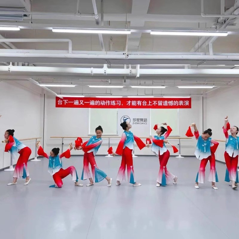 花儿对我笑舞蹈服秧歌服新款扇子舞演出服古典舞表演服山西小花戏