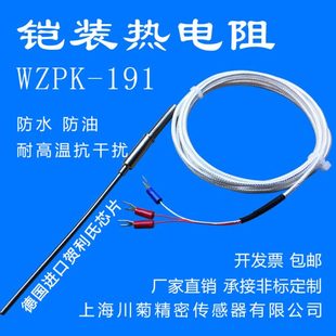 铠装 191针型 PT100铂热电阻PT1000温度探头探针式 温度传感器WZPK