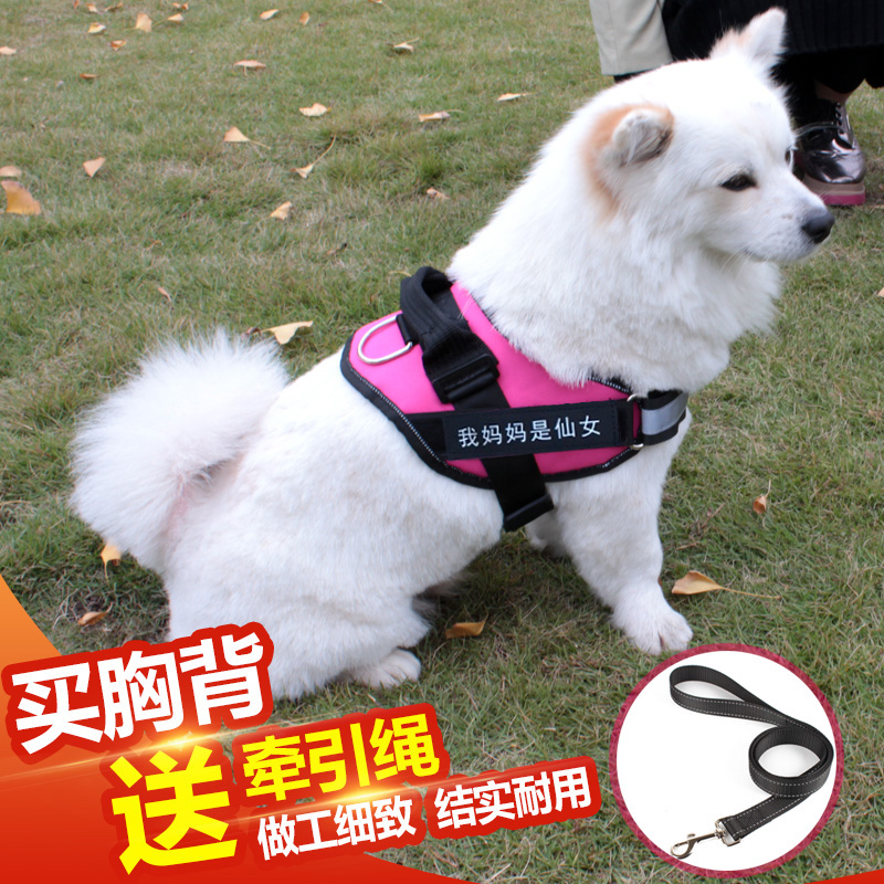 狗狗外出牵引绳胸背带遛狗绳子金毛萨摩耶泰迪大中小型犬狗链用品