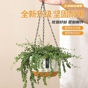 吊兰盆加厚垂吊植物挂墙栏杆挂钩多肉绿萝坠吊花盆 吊篮花盆悬挂式