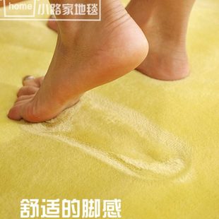现代房间卧室满铺家用法兰绒加厚地毯客厅茶几沙发吸尘可手洗定制