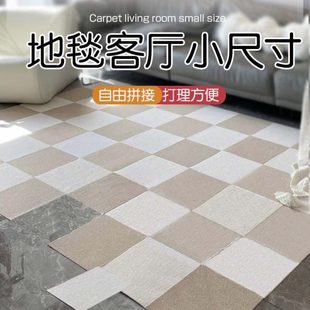 通用客厅地毯拼接 地毯客厅小尺寸任意剪裁垫子可拆洗裁剪四季