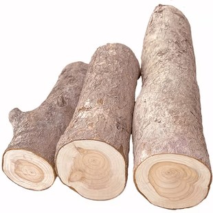 南方红豆杉实木头紫杉醇手串赤柏松摆件边角料雕刻创意水杯养生木