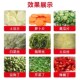 型型电动切菜商用切菜切土豆丝海带丝切桑剁辣椒