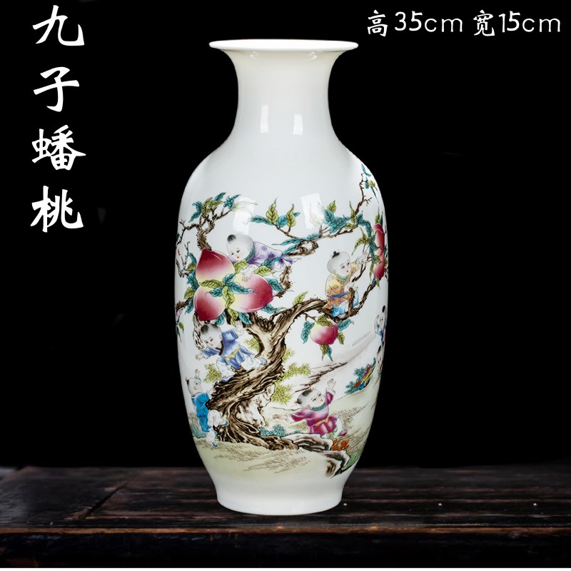 新客厅酒柜玄关电视柜水培插富贵竹瓶