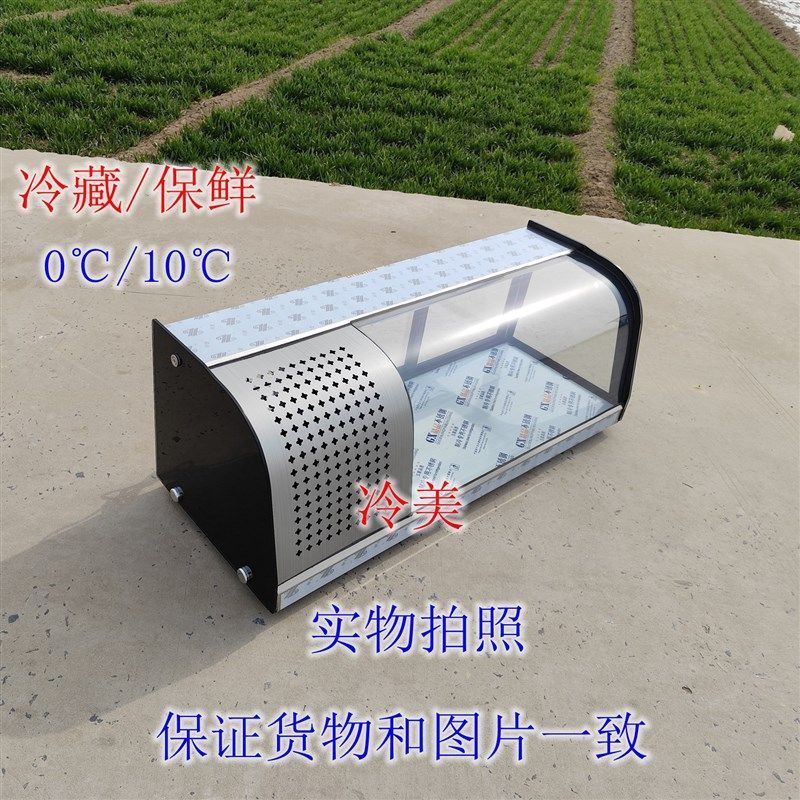 寿司日料文鱼刺身甜点冷藏保鲜鸭脖烧炸烤串展示柜