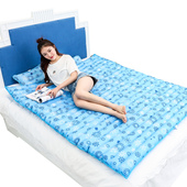 水床垫夏天降温冰垫水床宿舍寝室单水席冰床凉垫充水垫