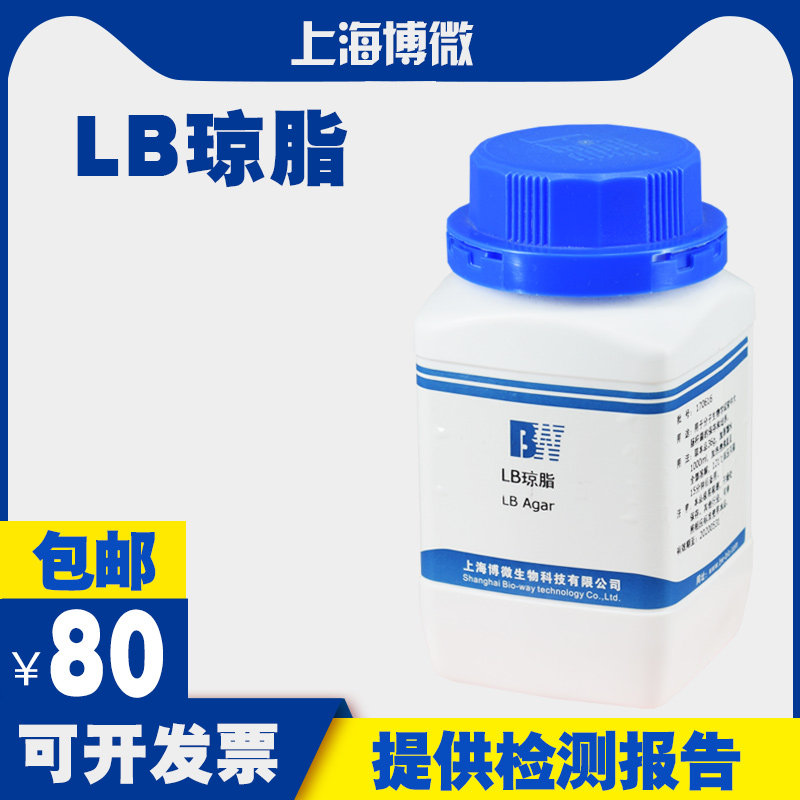 琼脂培养基 肉汤 液体培养基 分子生物学中大肠杆菌的培养