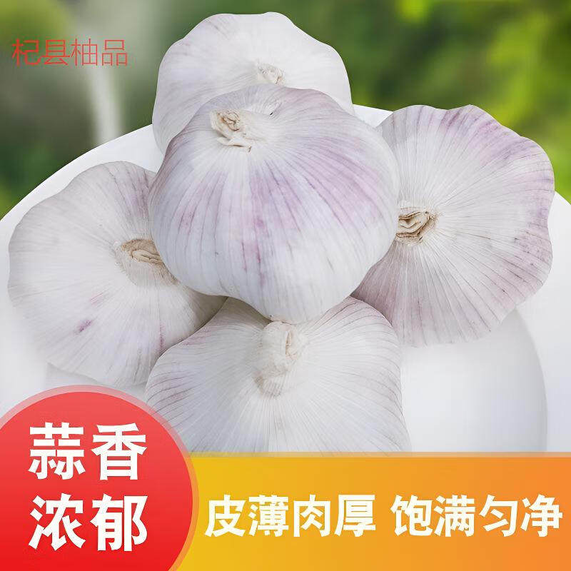 新大蒜新大蒜大蒜蒜产地直发十足蒜头干货 大蒜子大蒜批发