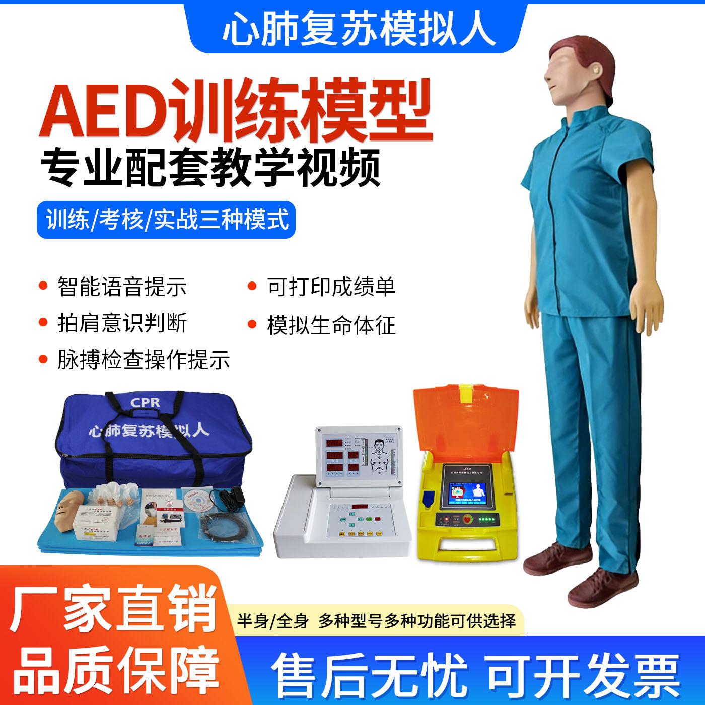 CPR心肺复苏模拟人全身半身人体医学教学用模型消防应急演练假人