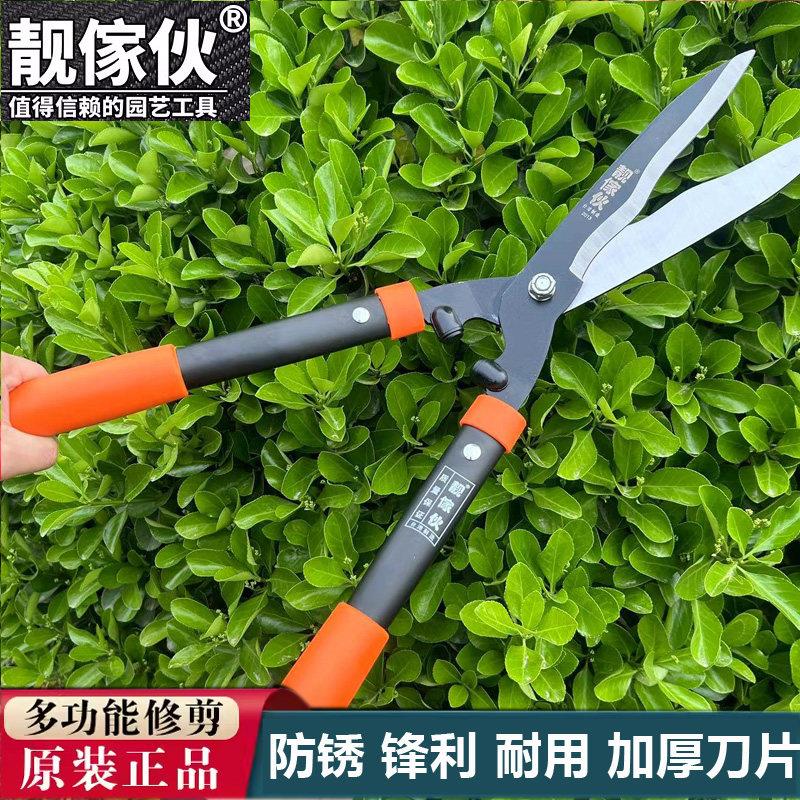 波浪台湾靓家伙草剪2013铁柄绿篱剪园艺草坪剪修枝剪进口园林剪刀
