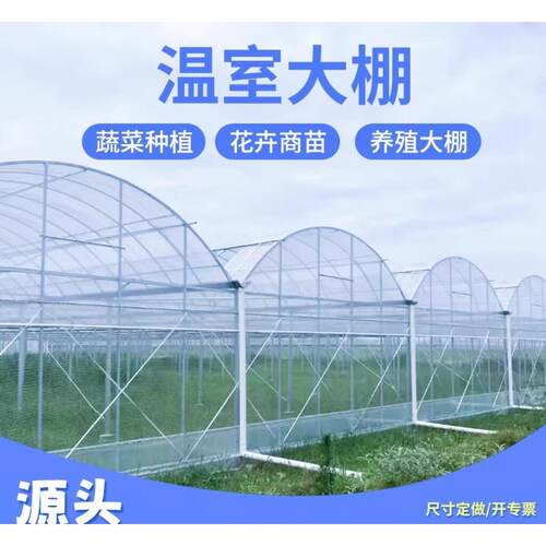 连栋薄膜蔬菜种植大棚外遮阳连栋大棚全套简易大棚温室