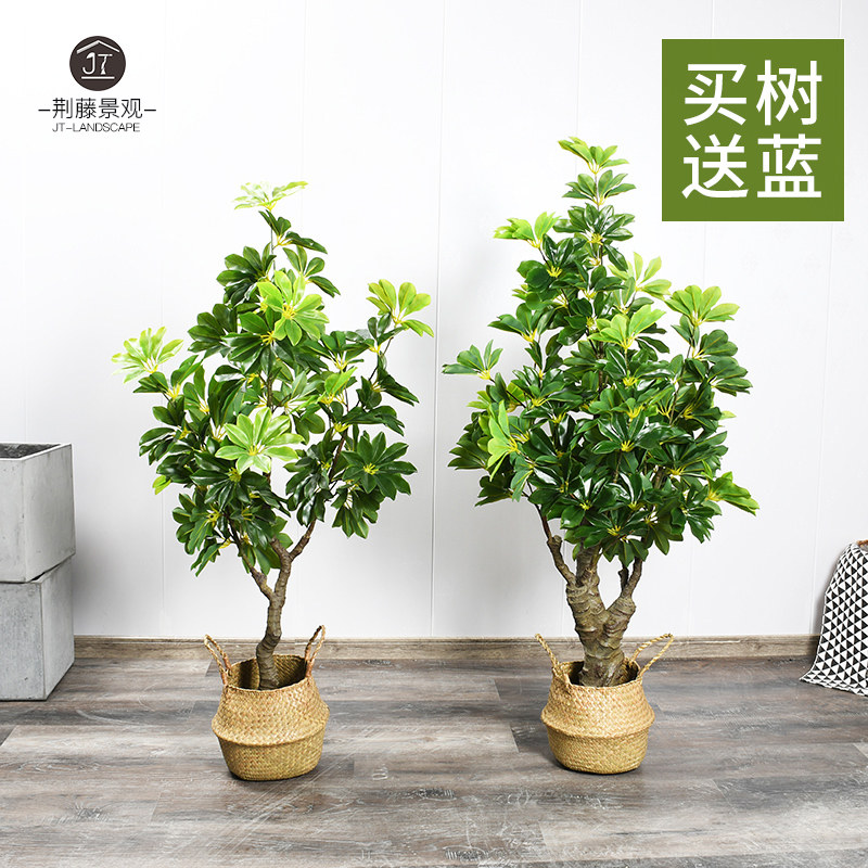 仿真招财树大型室内绿植鸭脚木落地书房客厅商场橱装饰