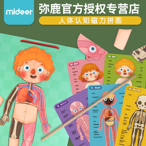 弥鹿认知磁力玩具套装早教益智