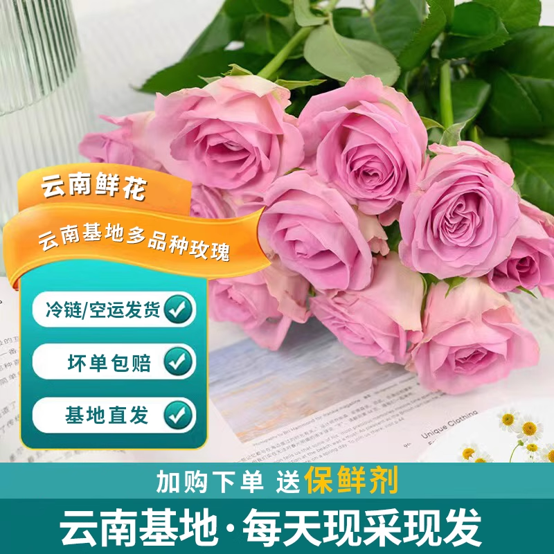 云南鲜花一件也是批发价送花上门