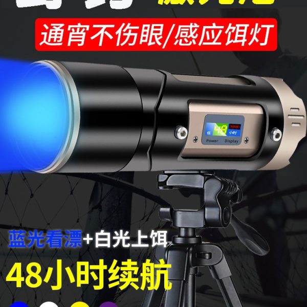夜钓灯钓鱼灯紫光台钓超亮野钓鱼灯蓝光电筒强光夜光激光大功率炮