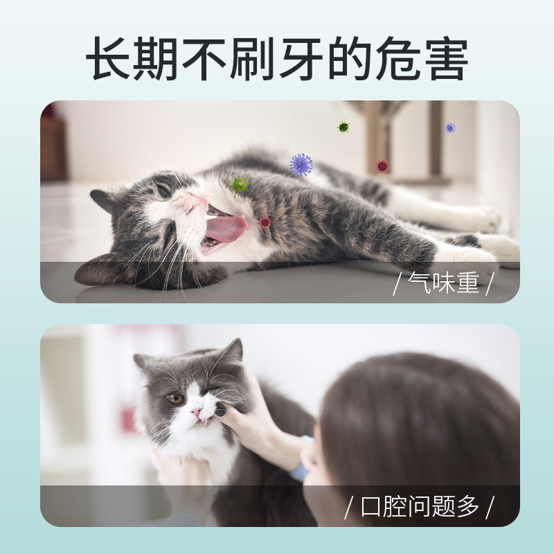 猫咪清洁牙齿洁牙指套狗狗嘴巴去结石除口臭宠物口腔清洁刷牙指套,宠物/宠物食品及用品,狗口腔清洁,淘宝优惠券,粉丝福利购,淘宝优惠卷