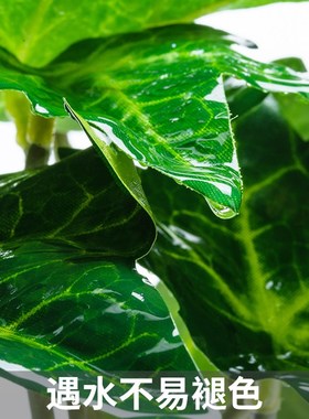 SuperRep爬虫造景雨林缸真植物爬宠陆龟蜥蜴睫角守宫饲养箱装饰