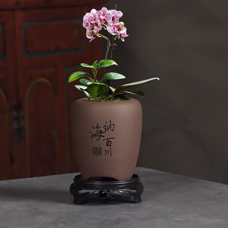 紫砂兰花蝴蝶兰花盆透气古典陶瓷兰草文竹专用中小号盆景多肉室内,鲜花速递/花卉仿真/绿植园艺,花盆,淘宝优惠券,粉丝福利购,淘宝优惠卷