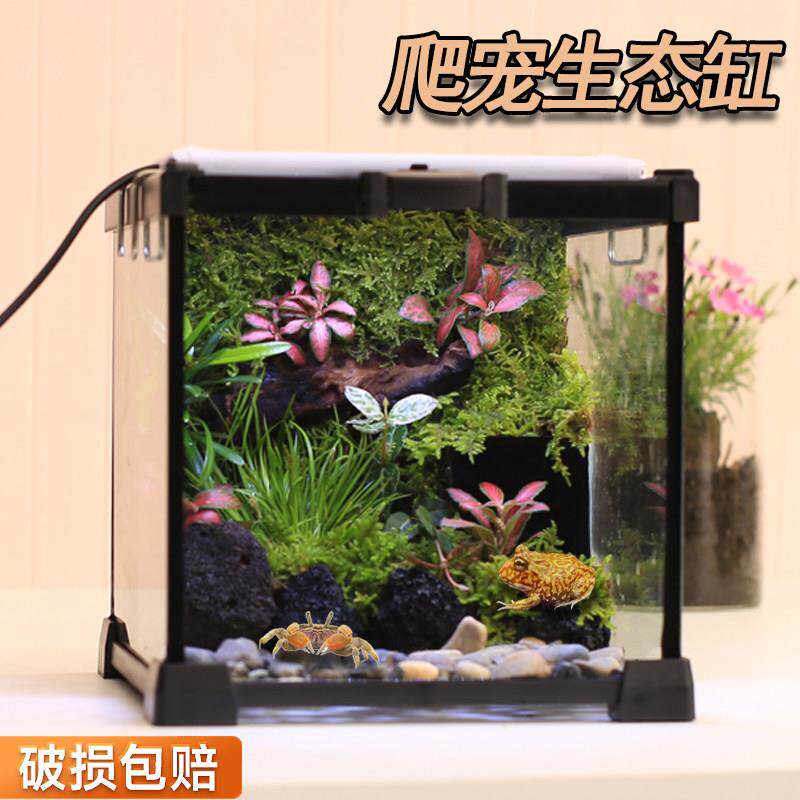 螃蟹角蛙生态缸成品桌面爬宠龟缸苔藓微景观森林造景植物摆件全套