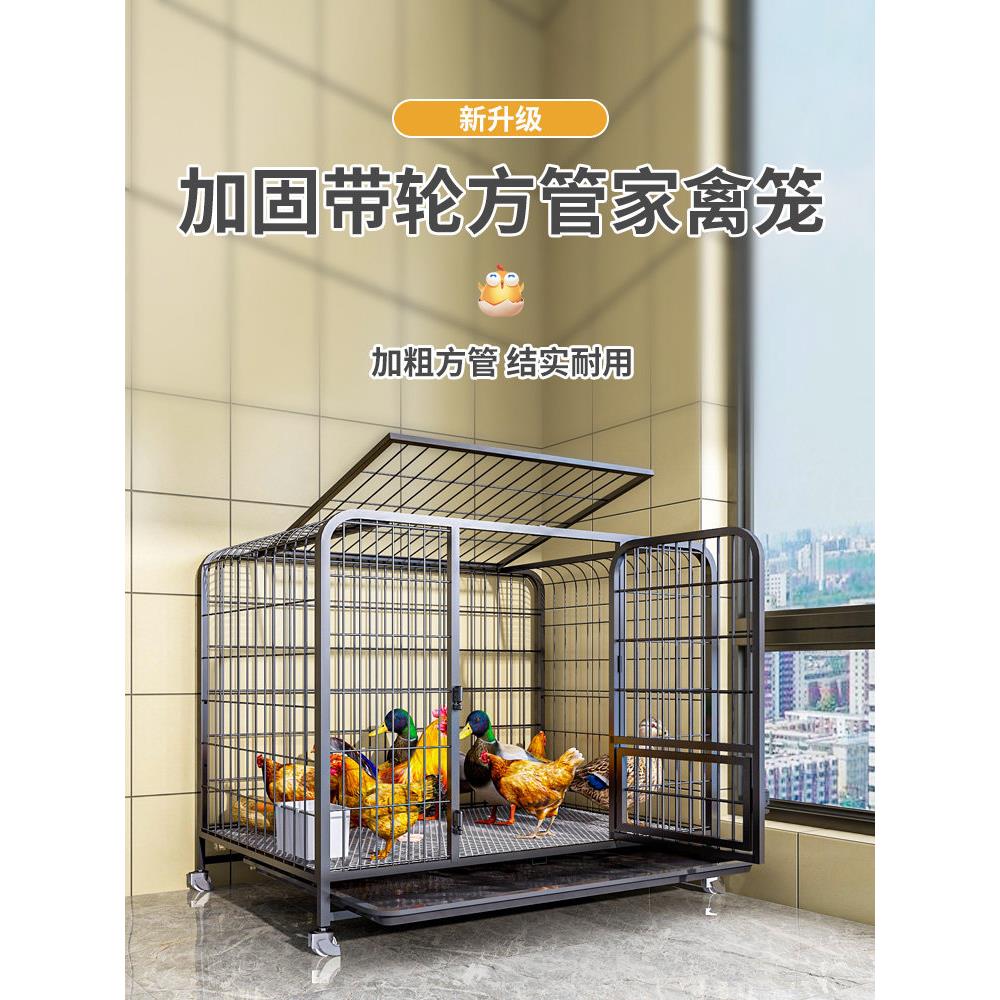 鸡笼子家用室外大号室内养殖养鸡舍专用笼铁丝鸡圈鸭鹅家禽鸽子笼