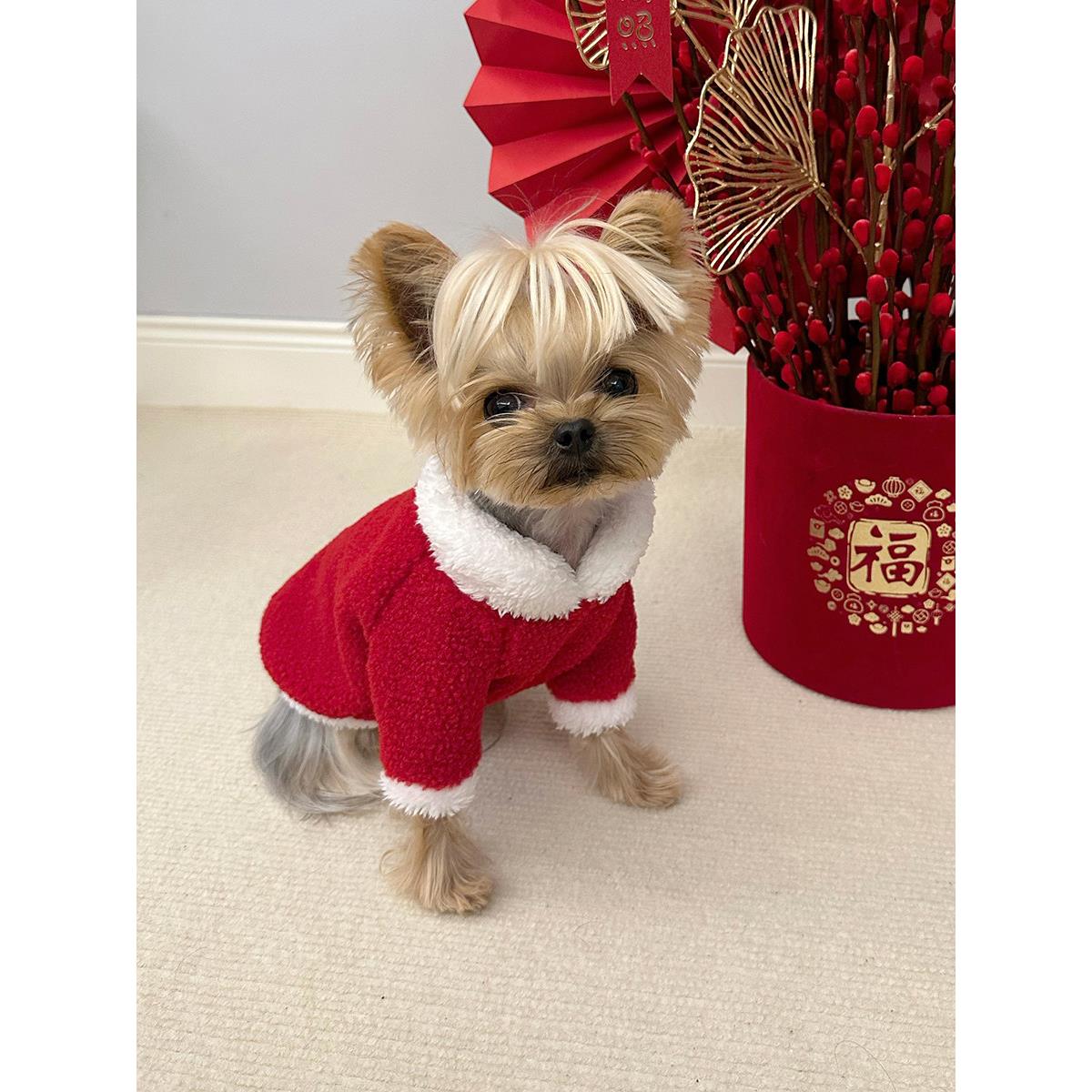 小甜粥宠物服装新年套头毛衣娃娃领t恤秋冬加厚暖红色新年服装宠