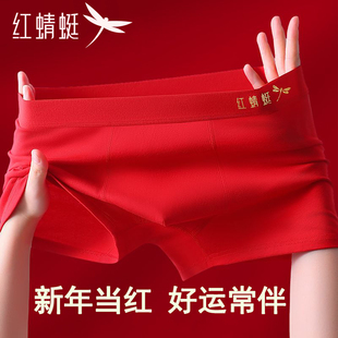 鸿运平角四角裤 红蜻蜓2026马年本命年纯棉红色内裤 男10A抗菌新款
