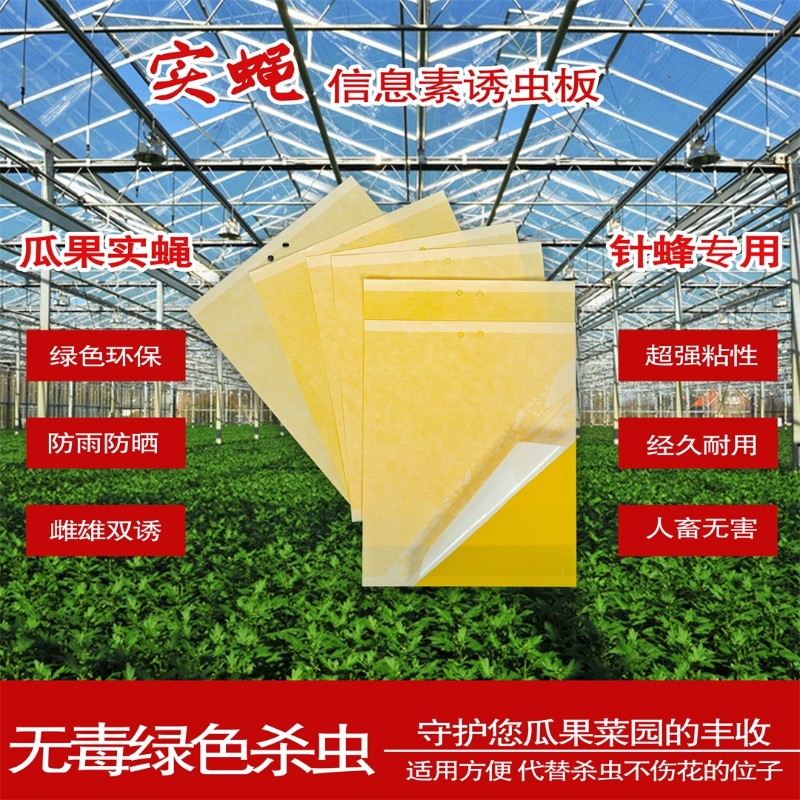 黄色粘虫板双面诱虫板果园小飞虫白粉虱蓝板果实蝇防虫板大棚蓟马