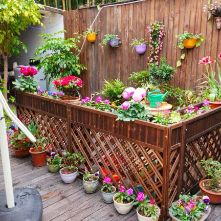 碳化花架地面防腐实木酒店餐厅隔断花槽网格围栏多肉户外花卉展示