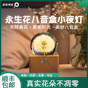 永生花小夜灯护眼定制旅游纪念品送生日毕业礼物水晶球摆件八音盒