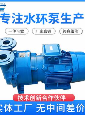 2BV5111水环式真空泵精雕机无油真空系统真空吸附站穗诚真空