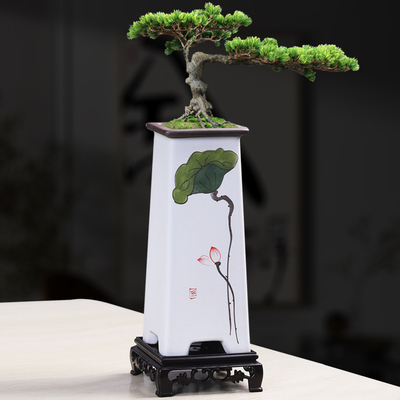 简约手绘四方形高款紫砂兰花专用绿植花盆悬崖多肉老桩飘枝造景盆