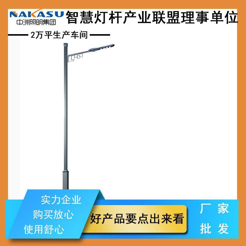 led模组市电路灯杆市政道路双头双臂LED路灯户外防水城市建设路灯