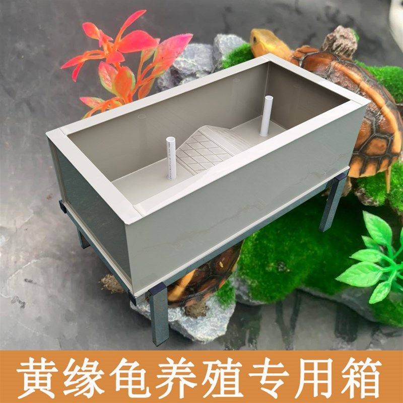 乌龟黄缘龟专用缸饲养箱池小中大型长方形环保PP塑料带排水可定制