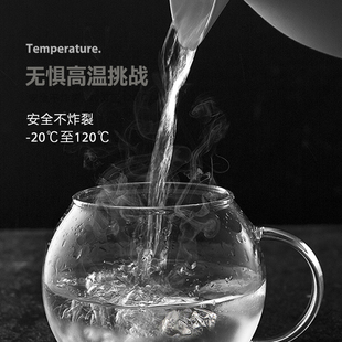 家庭客厅喝水茶杯大容量牛奶杯 物生物玻璃杯家用带把耐热水杯套装