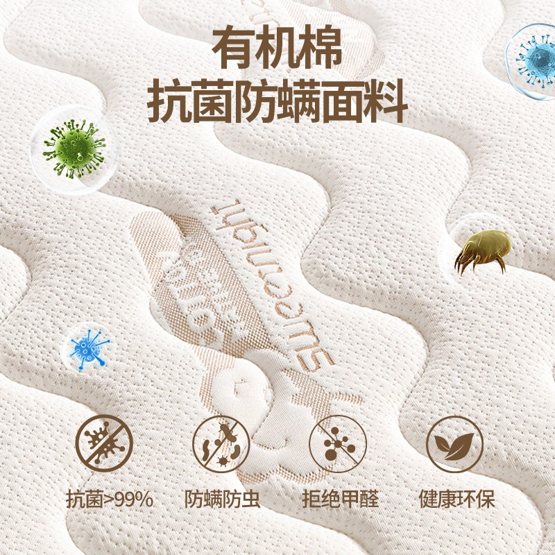 榻榻米专用床垫可折叠定制定做尺寸家用卧室偏硬天然椰棕乳胶棕垫