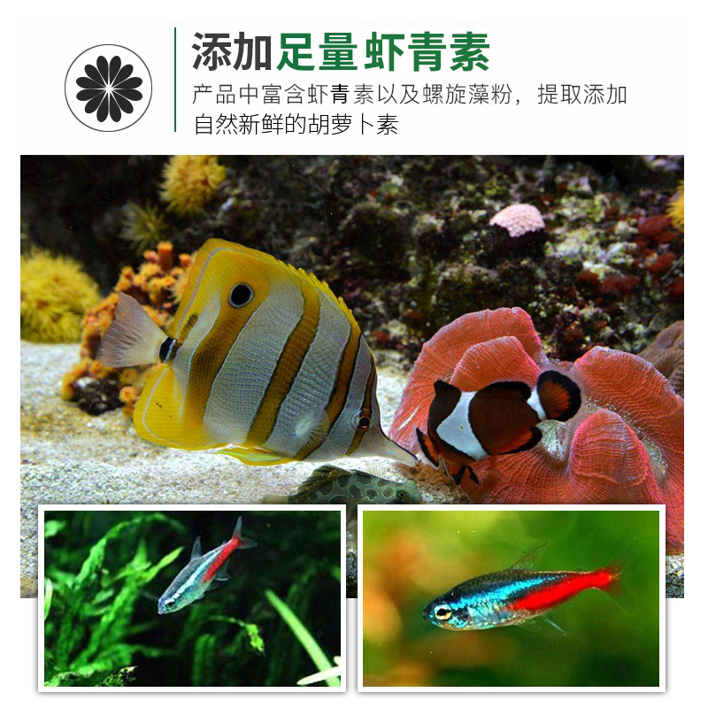 10袋包邮保拿仕薄片鱼粮灯科鱼火炬鱼孔雀鱼宝莲灯小型热带鱼饲料