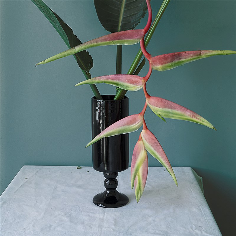 OOOOH法式中古高脚玻璃花瓶黑色复古插花水培摆件