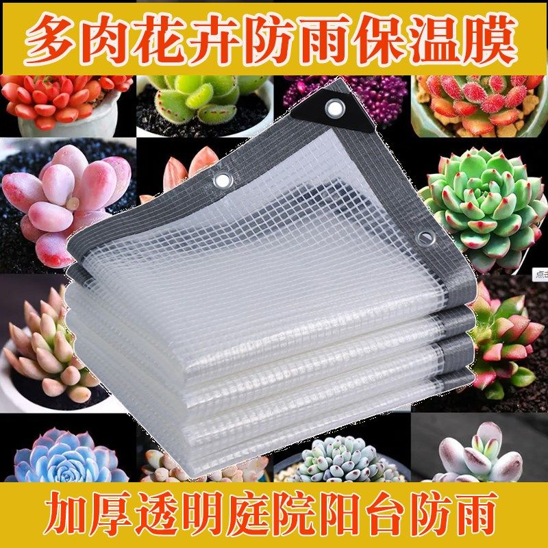 透明网格膜多肉遮雨防水塑料布棚阳台户外窗花卉庭院挡雨布罩蓬布,橡塑材料及制品,塑料薄膜/塑料布,淘宝优惠券,粉丝福利购,淘宝优惠卷