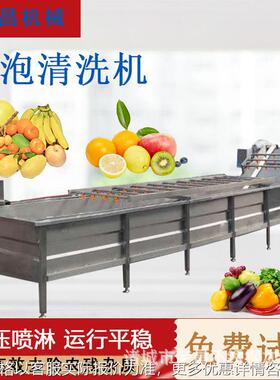 三七鱼腥草压清洗机材清洗加工流水线商用大姜气泡果蔬