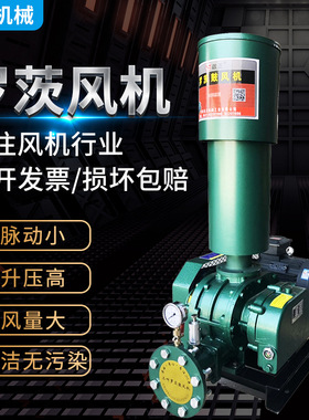 厂家直供CCR-65罗茨鼓风机曝气机水处理用气力输送用罗茨风机