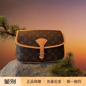 Diane老花法棍经典 99新LouisVuitton 路易威登 斜挎单肩包