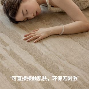 侘寂风地毯客厅轻奢高级卧室床边毯抑菌防水防污家用沙发茶几地垫