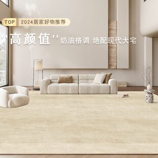 轻奢高级感现代简约耐脏家用沙发茶几卧室垫 客厅地毯免洗可擦意式