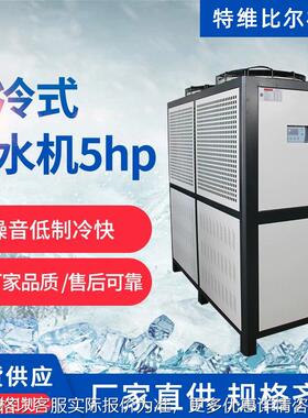 5工业冷水机 工业注塑吹瓶模具焊接冷却机 厂家风冷式冷水机