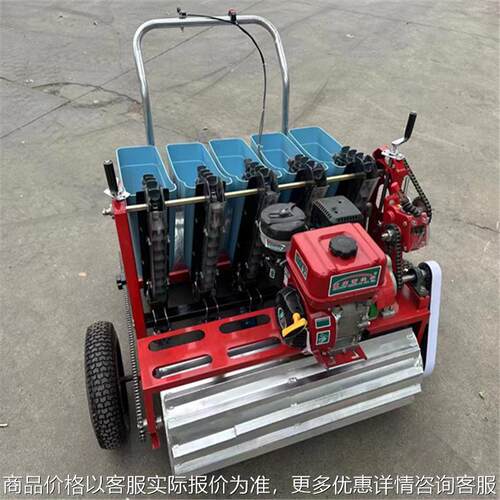 大蒜元胡贝母播种机农用电动手推六行汽油种蒜机蒜头种植机