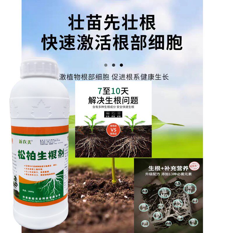 松树柏树强力生根液树木通用激活液移栽成活液大树浓缩营养生根剂