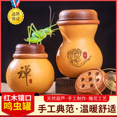 蛐蛐鸣虫宠物叫罐过冬天保暖然文玩七星口蝈蝈罐葫芦把件子