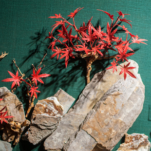 创意新客厅电视背景墙墙上墙壁挂墙装 饰 饰挂饰壁饰民宿装