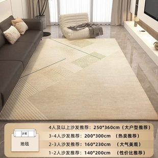 客厅地毯家用高级轻奢沙发茶几毯网红极简风卧室进门地垫 2024新款